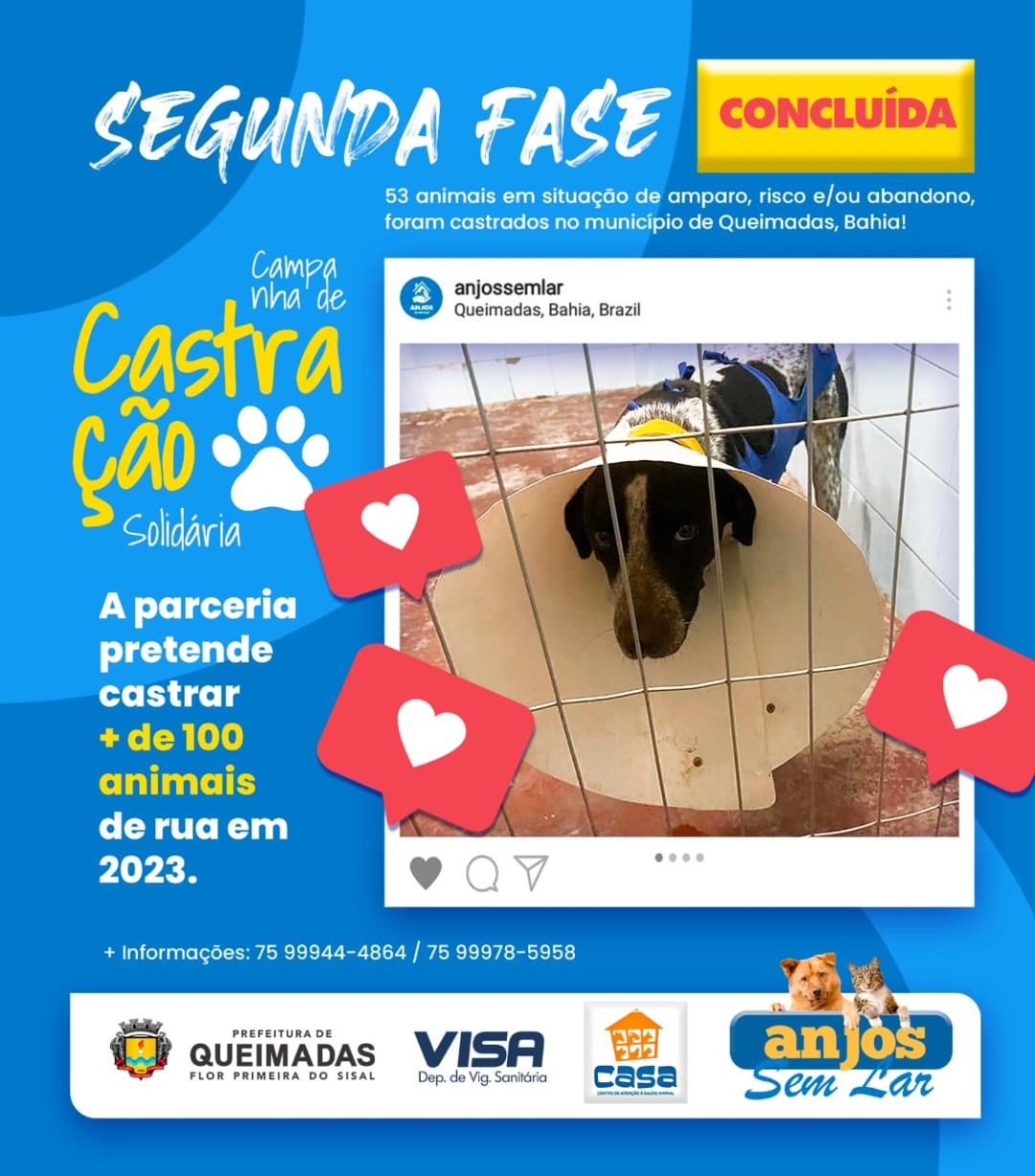 Prefeitura Municipal de Queimadas em parceria com a ONG Anjos sem Lar