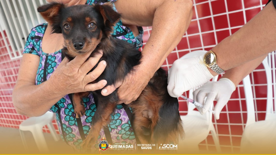 Vacinação antirrábica no Distrito de Coronel João Borges