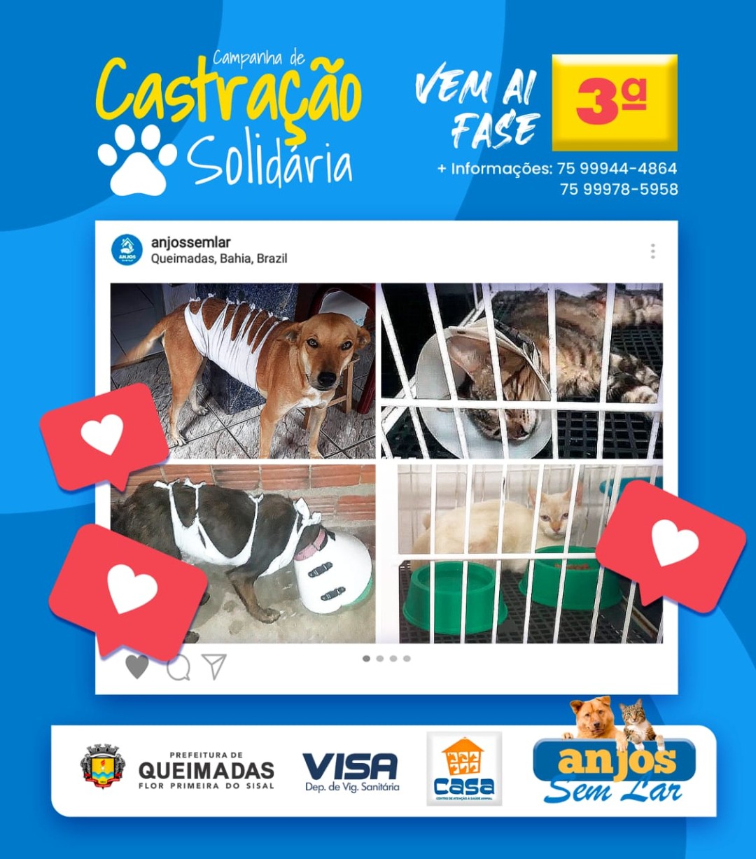 Prefeitura de Queimadas e entidades parceiras anunciam 3ª fase de castração animal