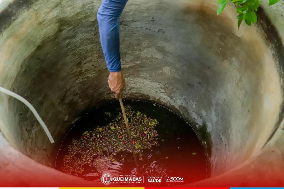 Queimadas contra a Dengue
