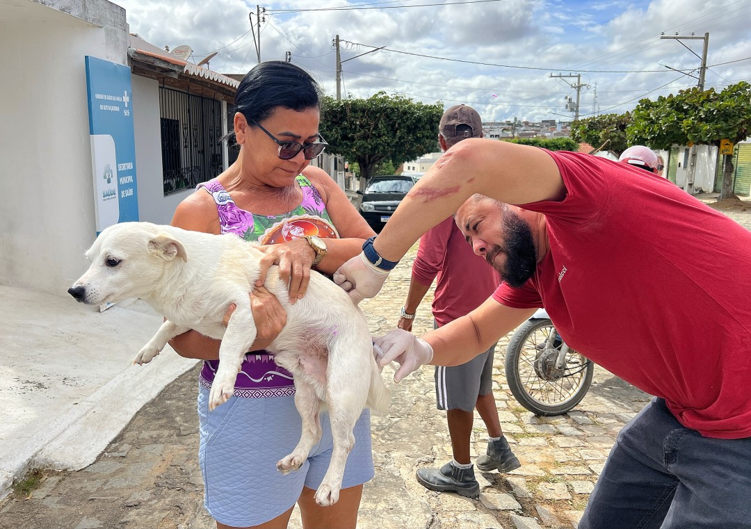 Campanha de Vacinação Antirrábica tem início em Queimadas: CONFIRA O CRONOGRAMA