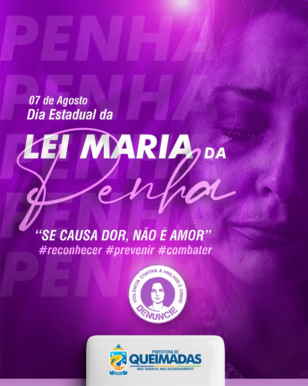 Dia Estadual da Lei Maria da Penha - 07 de agosto